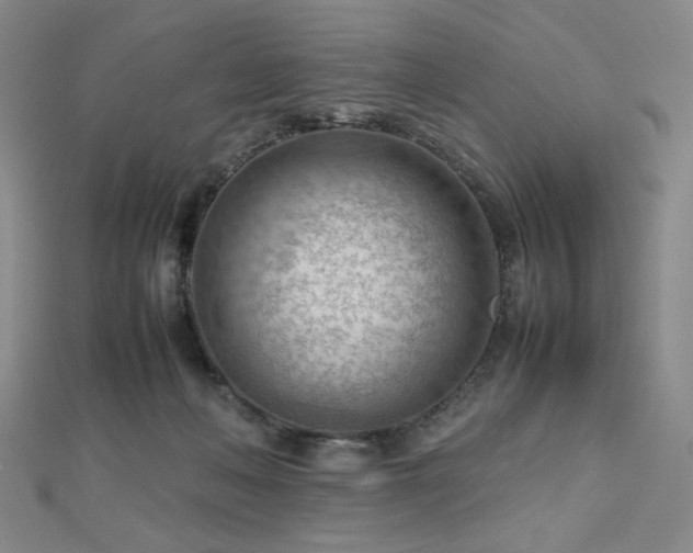 X0000112810222200908211151