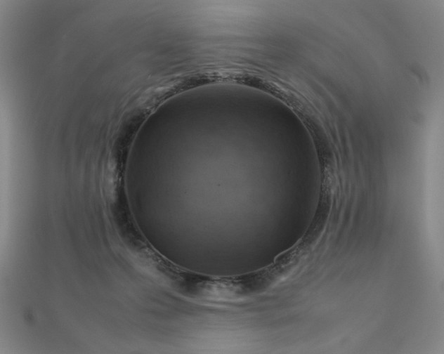 X0000112810223200908211151
