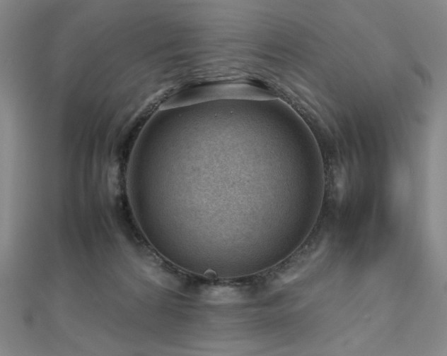 X0000112810224200908211151