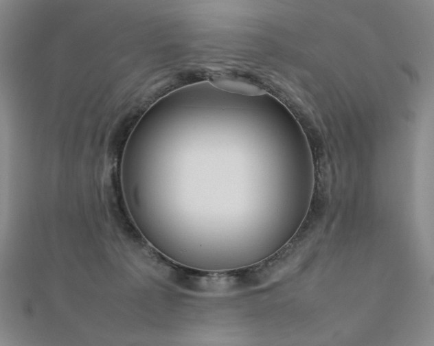 X0000112810225200908211151