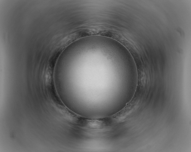 X0000112810226200908211151