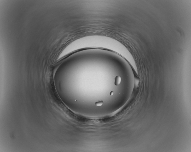X0000112810227200908211151