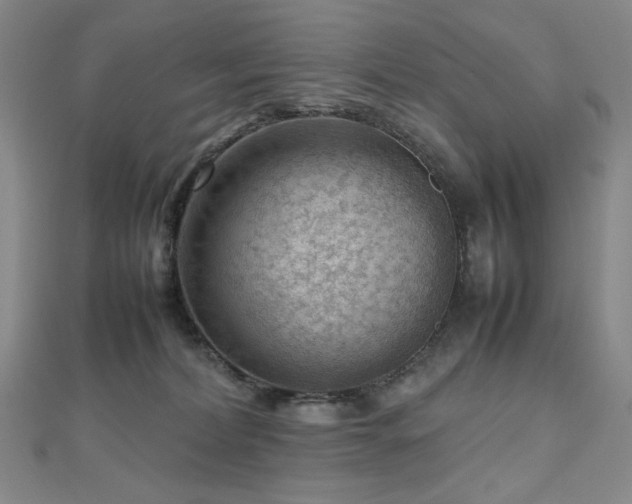X0000112810228200908211151