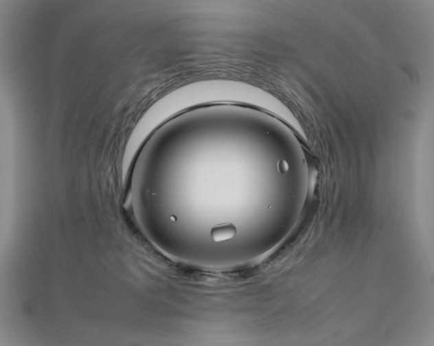 X0000112810229200908211151