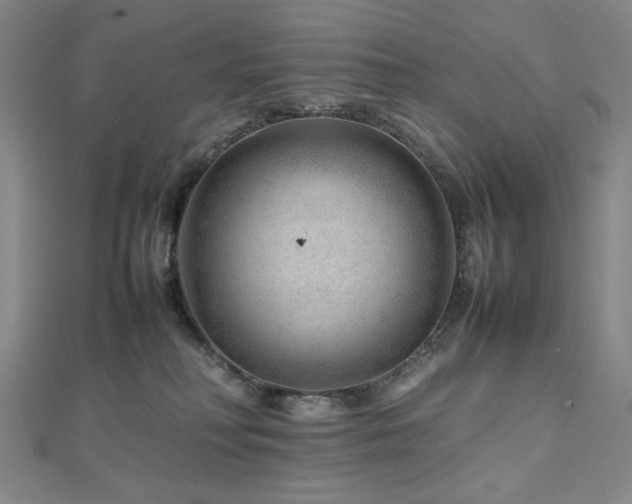 X0000112810230200908211151