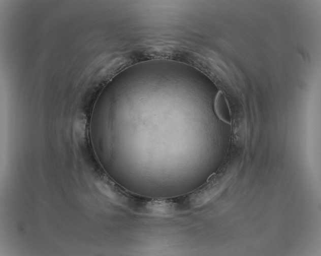 X0000112810231200908211151