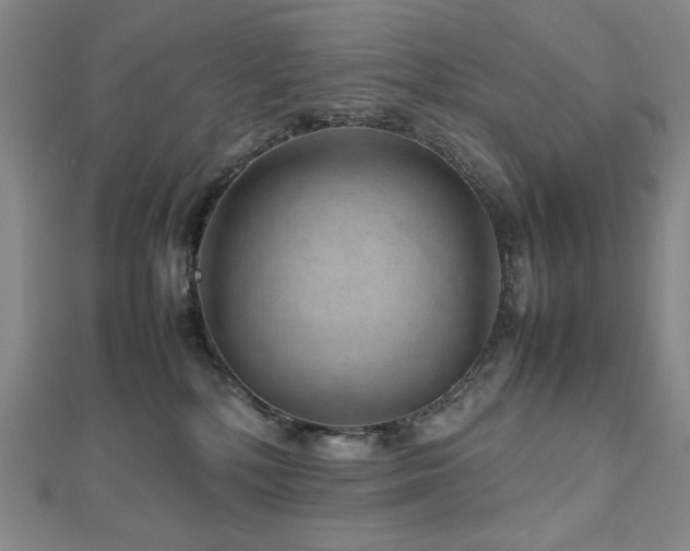 X0000112810232200908211151