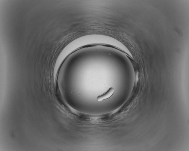 X0000112810233200908211151
