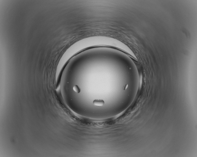 X0000112810235200908211151