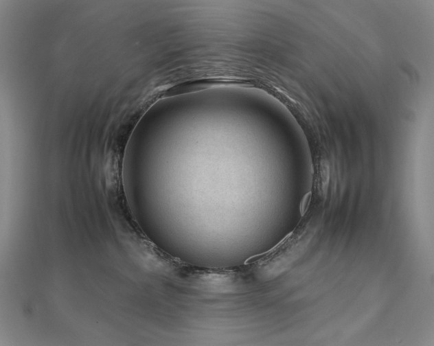 X0000112810236200908211151