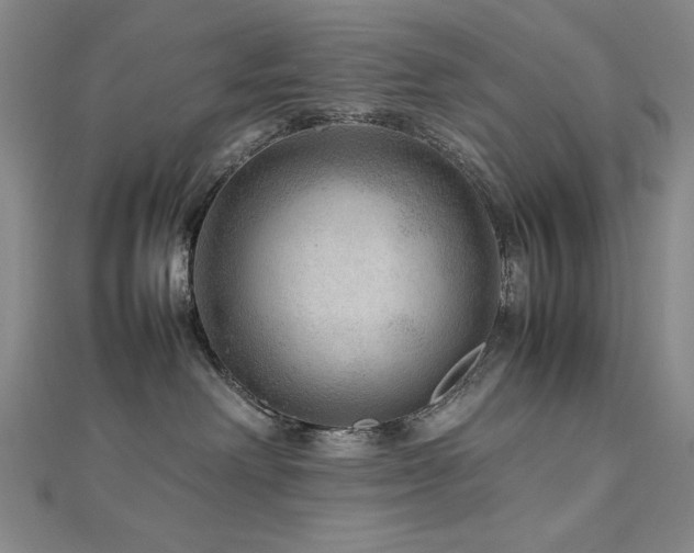 X0000112810238200908211151