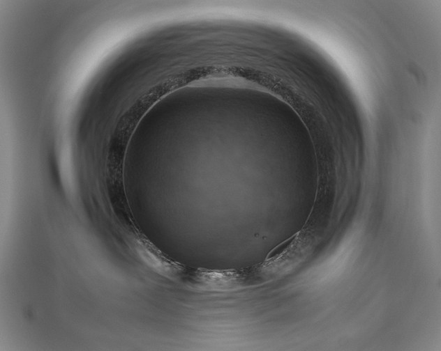 X0000112810239200908211151