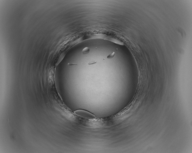 X0000112810240200908211151
