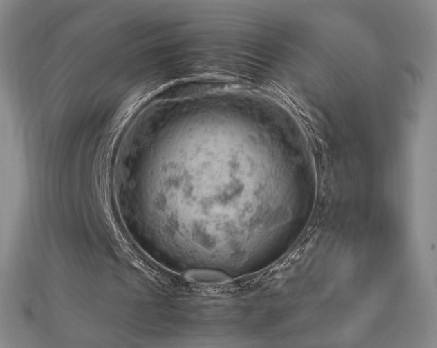 X0000112810241200908211150