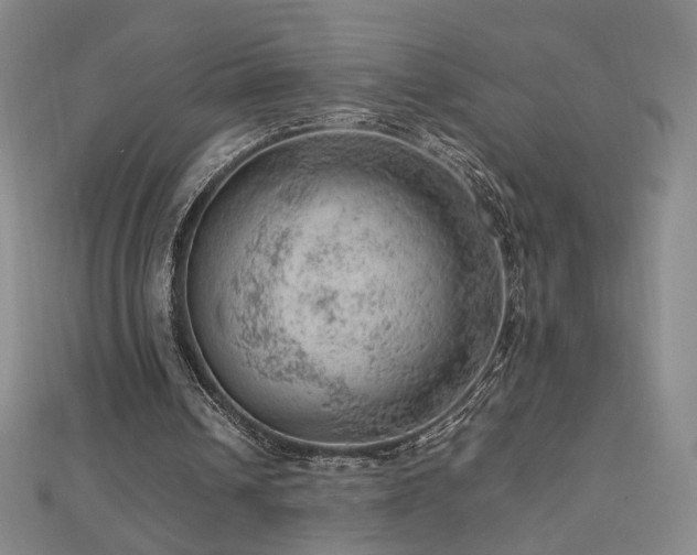 X0000112810242200908211150