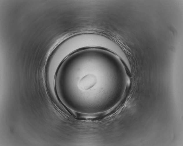 X0000112810244200908211150