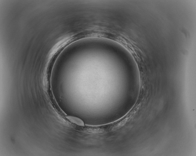 X0000112810245200908211150