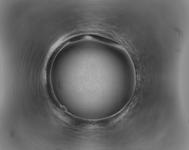 X0000112810246200908211150
