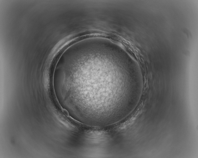 X0000112810247200908211150