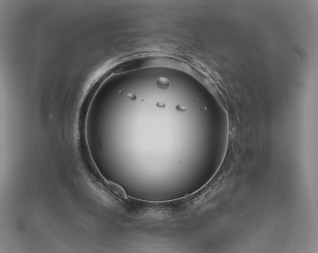 X0000112810248200908211150