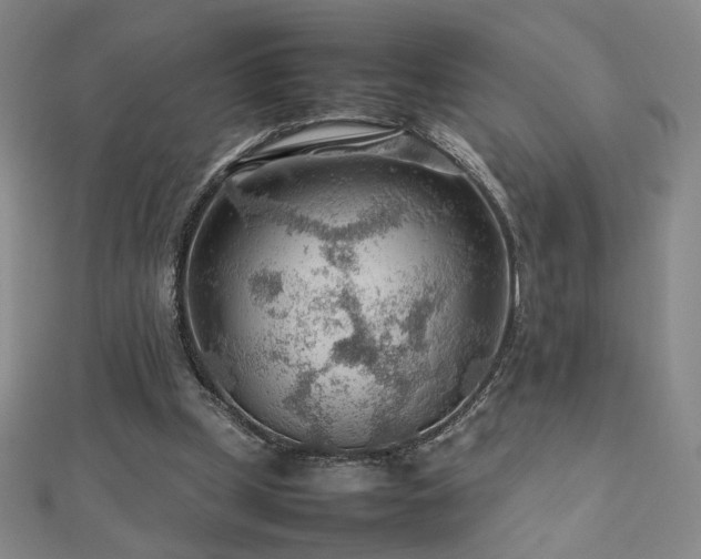 X0000112810249200908211150