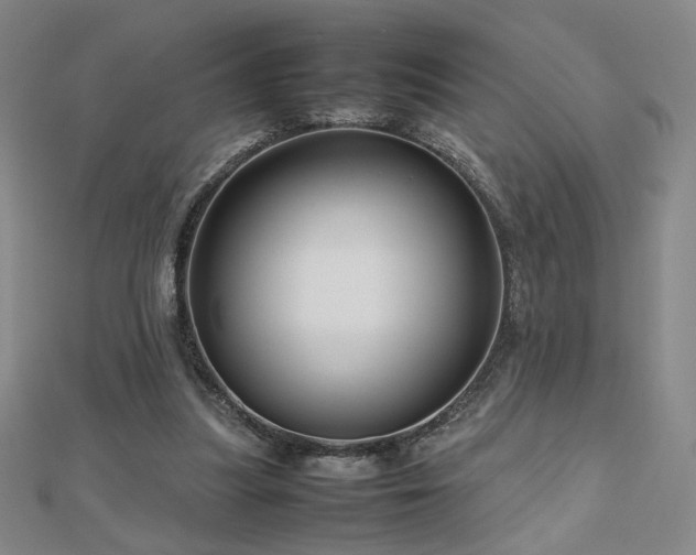 X0000112810251200908211150