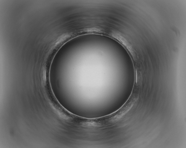 X0000112810253200908211150