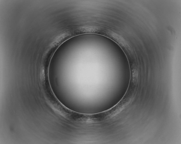 X0000112810254200908211150