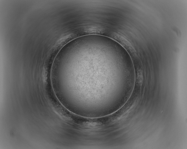 X0000112810255200908211150