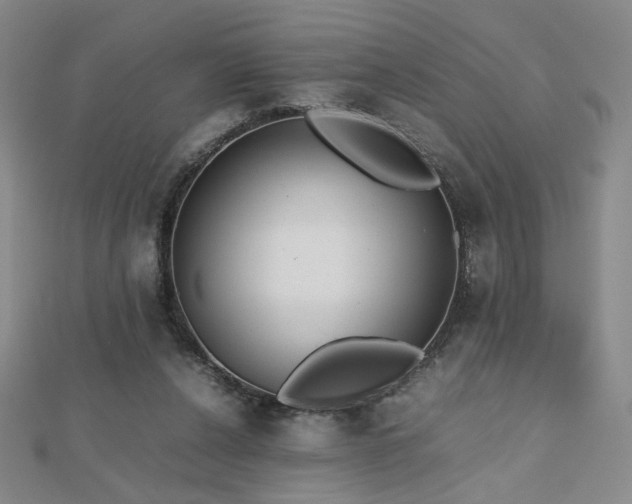 X0000112810256200908211150