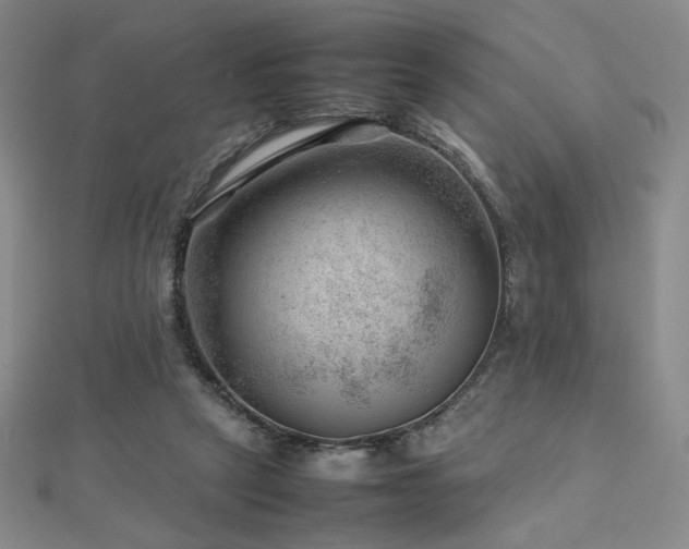 X0000112810257200908211150