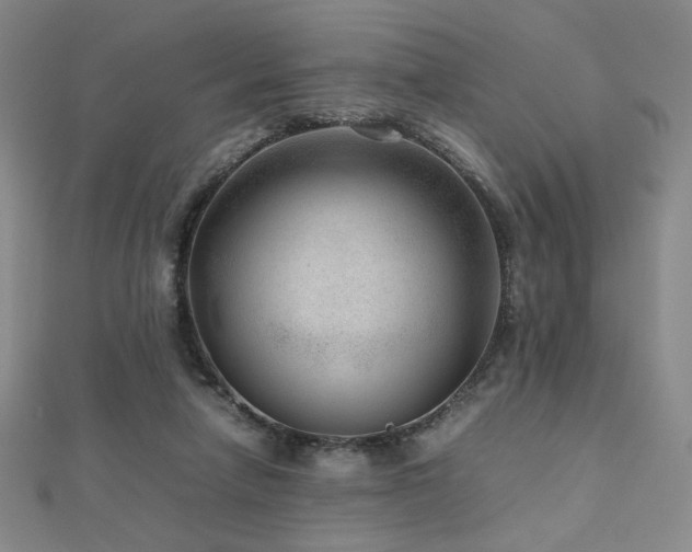 X0000112810258200908211150