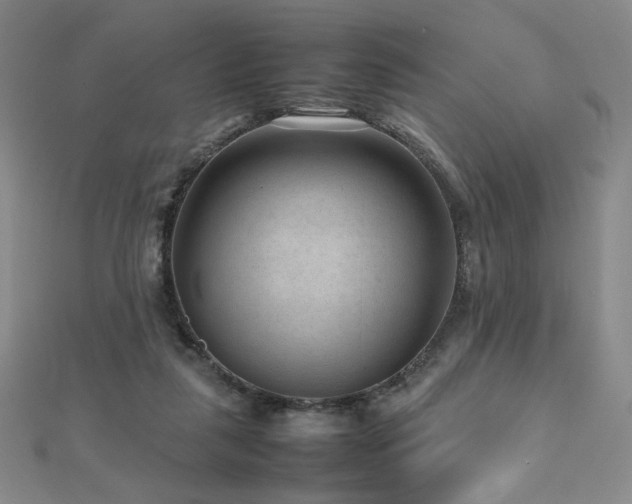 X0000112810259200908211150