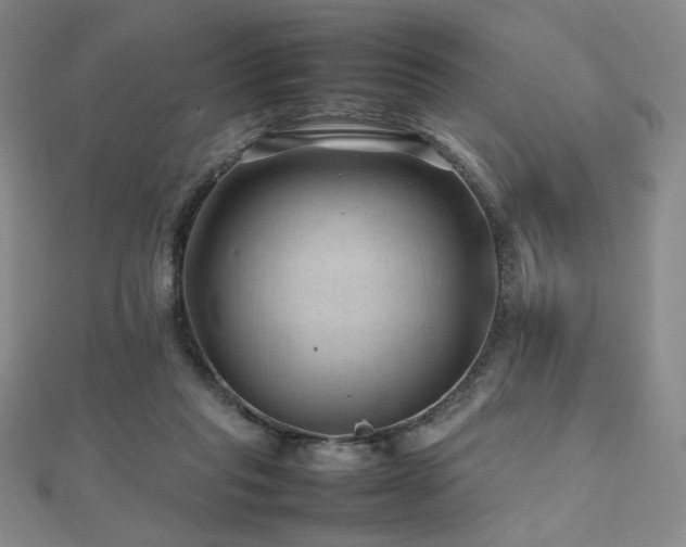 X0000112810261200908211150