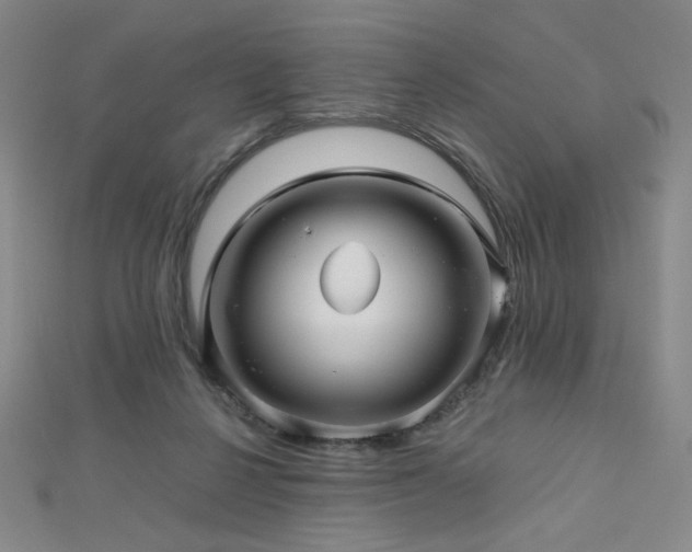 X0000112810264200908211150