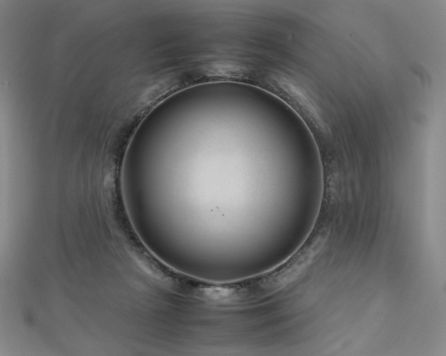 X0000112810265200908211150