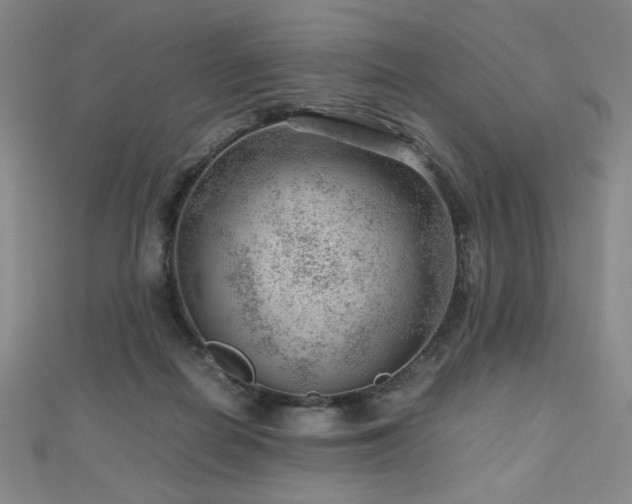 X0000112810266200908211150
