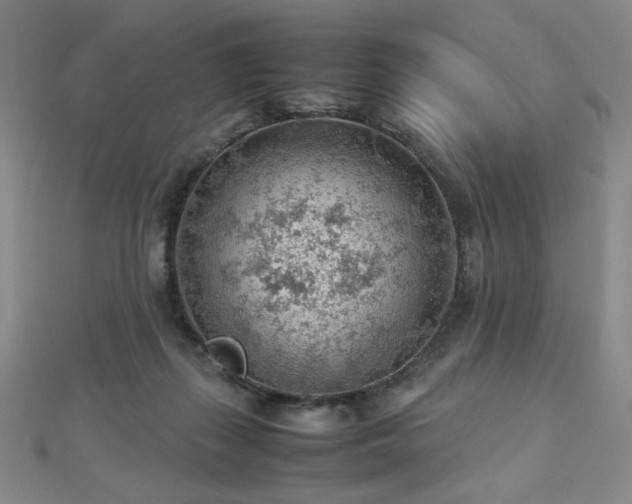 X0000112810267200908211150