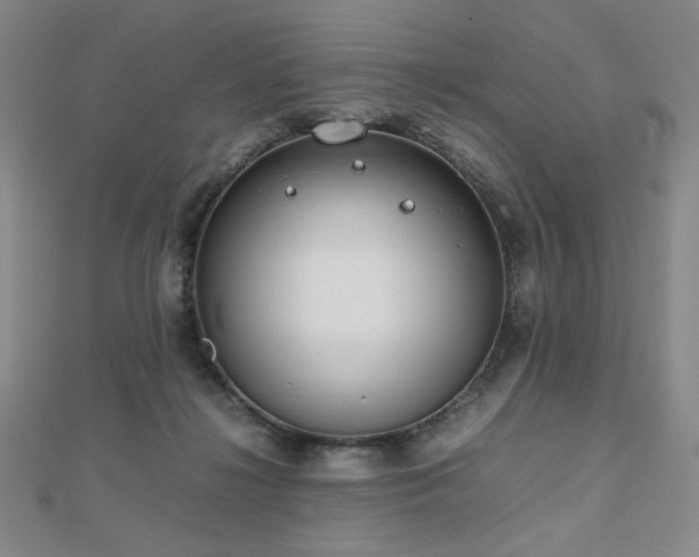 X0000112810268200908211150