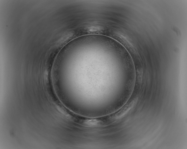 X0000112810269200908211150