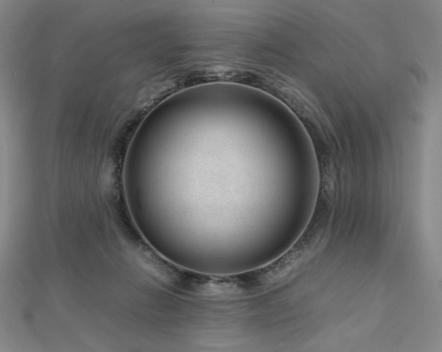 X0000112810270200908211150