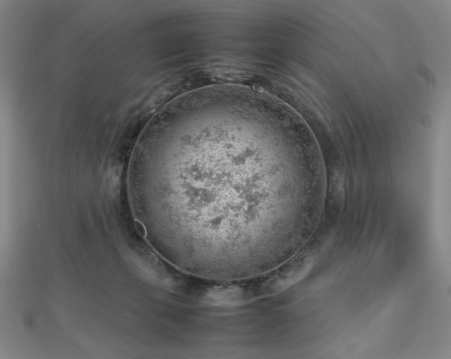 X0000112810271200908211150