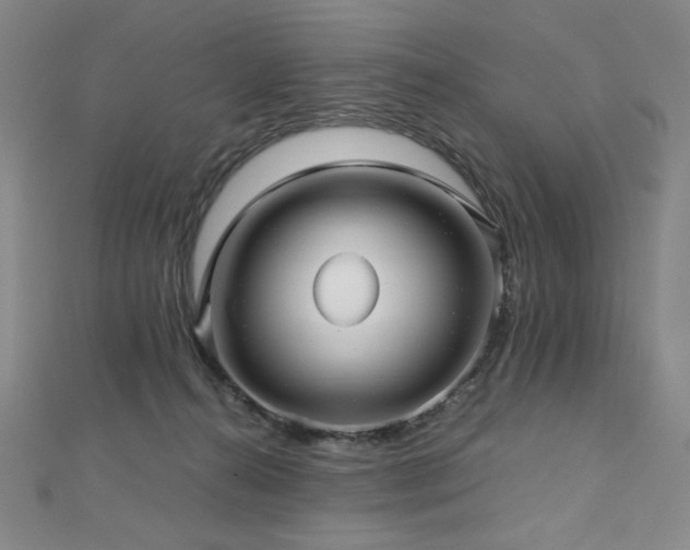 X0000112810272200908211150