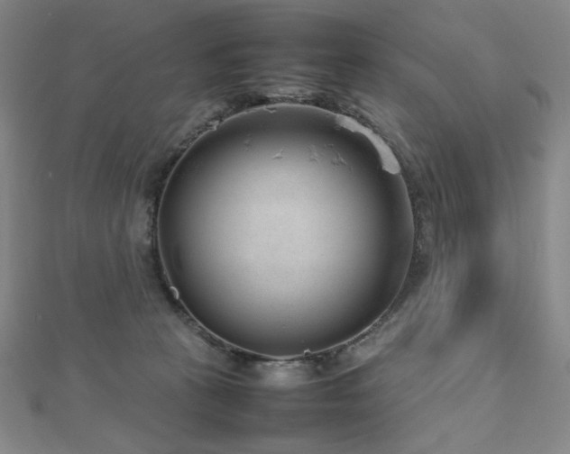 X0000112810273200908211150