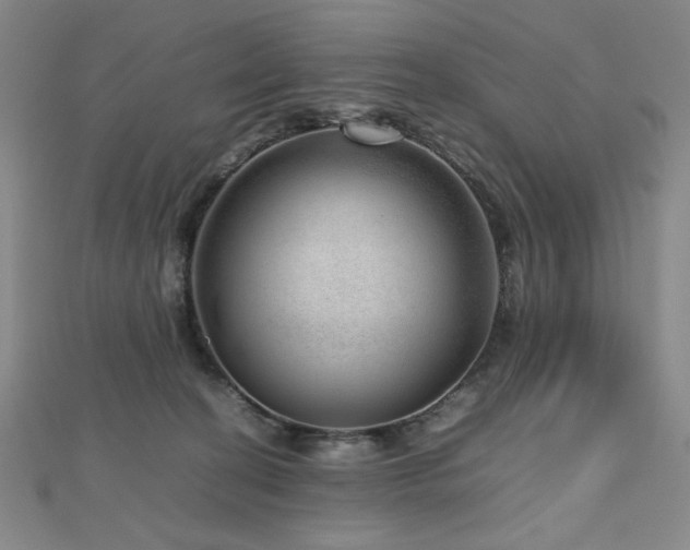 X0000112810274200908211150