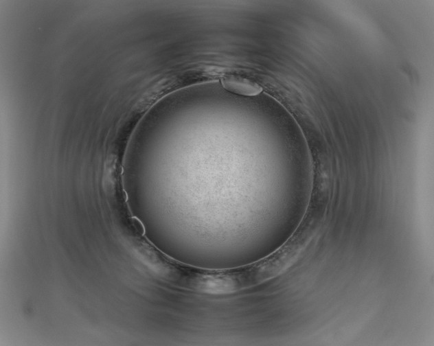 X0000112810275200908211150