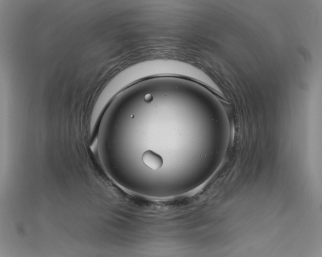 X0000112810276200908211151