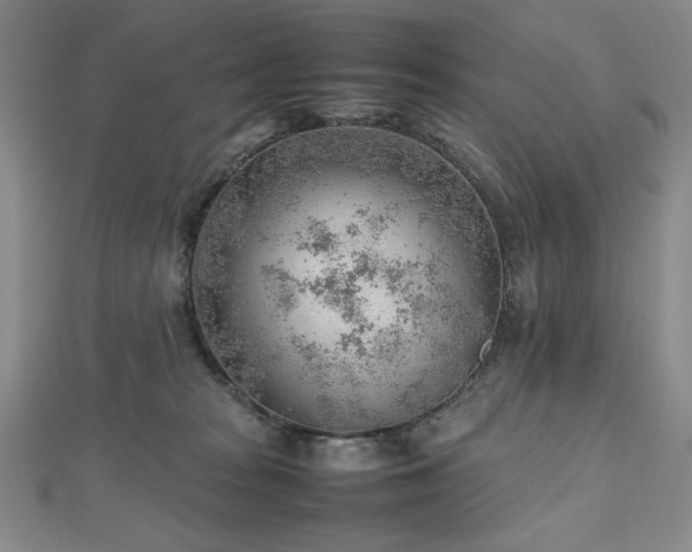 X0000112810277200908211151