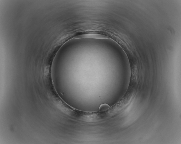 X0000112810278200908211151