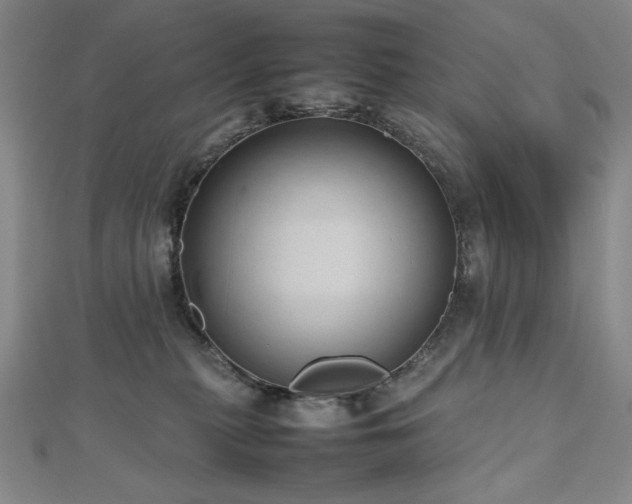 X0000112810279200908211151